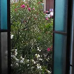 Hotel Alba *